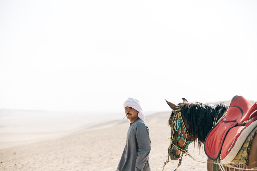 découvrez la riche culture, l'histoire et les contributions des arabes-américains dans la société moderne. explorez leurs traditions, défis et succès au sein de la communauté américaine.