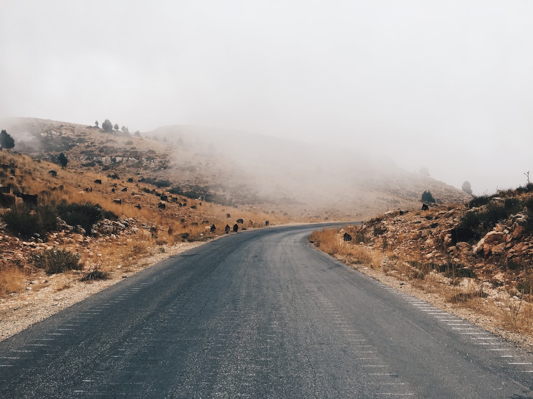 découvrez le liban, un pays riche en histoire et en culture, avec ses paysages à couper le souffle, sa délicieuse cuisine et son patrimoine diversifié. explorez ses villes vibrantes comme beyrouth, son héritage historique et sa nature enchanteresse.